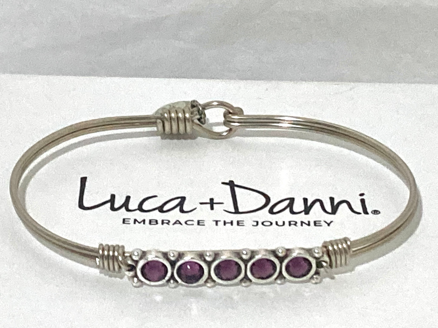 Luca & Danni February Starlight Birthstone Bangle Bracelet Size 6.5 Petite